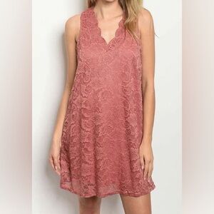 Francesca’s Lace V-Neck Rose Colored Shift Dress